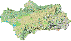 andalucia Mapa.gif