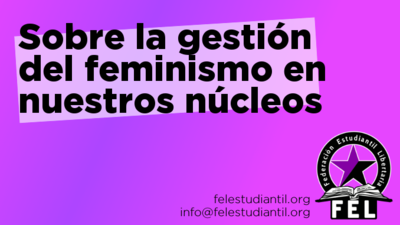 GestiónFeminismo.png