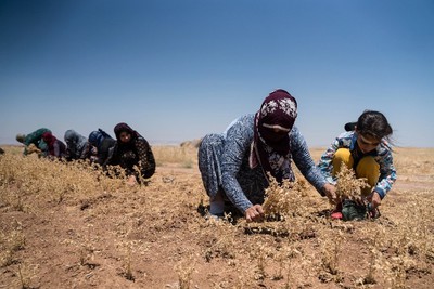 ______Rojava-Muj autonomia.jpg