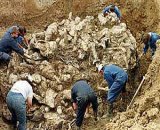 asrebrenica.jpg