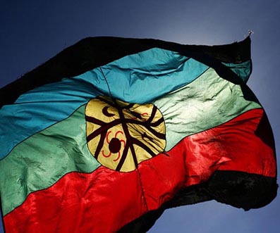 _ _ _ _ _bandera-mapuche_.jpg