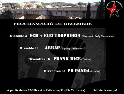 cartell apv desembre 2011.JPG