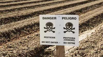 __eco__Pesticidas Arg.jpg