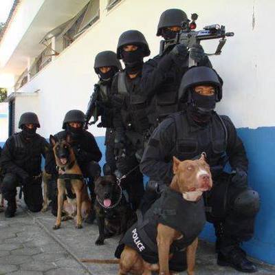 policias perros dert.jpg