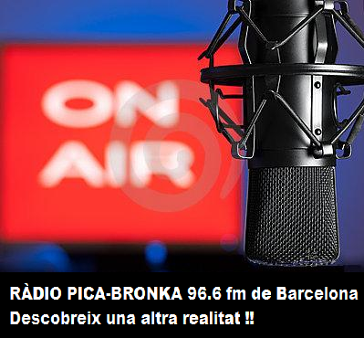 CATALA MICRO PICA.BRONKA.bmp