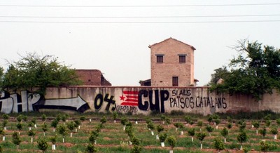 CUP_plana_baixa_2.jpg