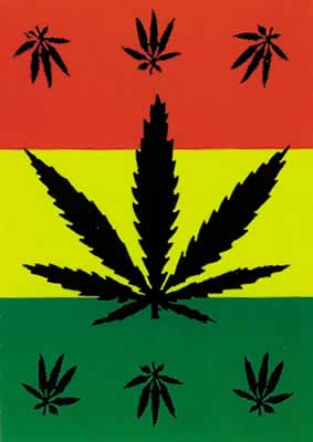 cannabis05.jpg