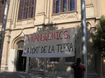 transgenics-5.jpg