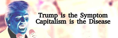 trumpisthesymptom-768x248.jpg