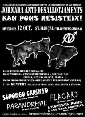 cartel resistencia kan pons V.jpg