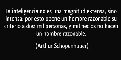 frase-la-inteligencia-no-es-una-magnitud-extensa-sino-intensa-por-esto-opone-un-hombre-razonable-su-arthur-schopenhauer-180495.jpg