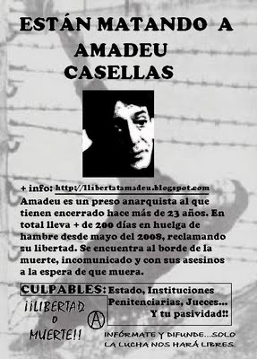 AMADEU_ CASELLAS_ LIBERTAD.jpg