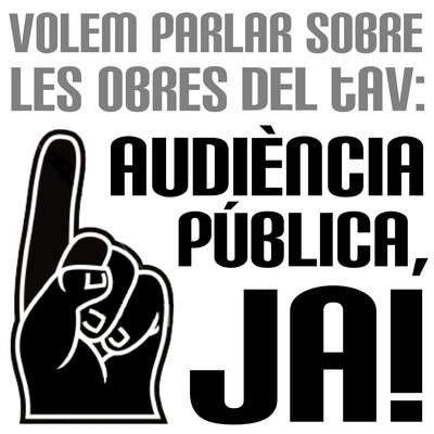 audiència pública.jpg