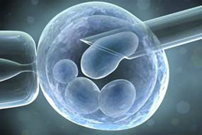 clonacion-embriones-humanos_2.jpg