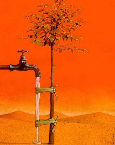 pawel kuczynski 3.jpg