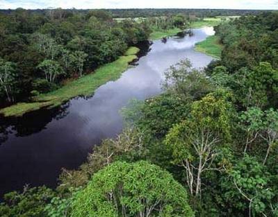 amazonas_1.jpg