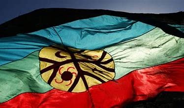 __bandera Mapuche__.jpg