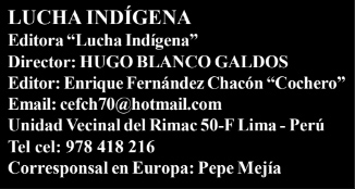 ____Lucha Indigena_Perù.jpg