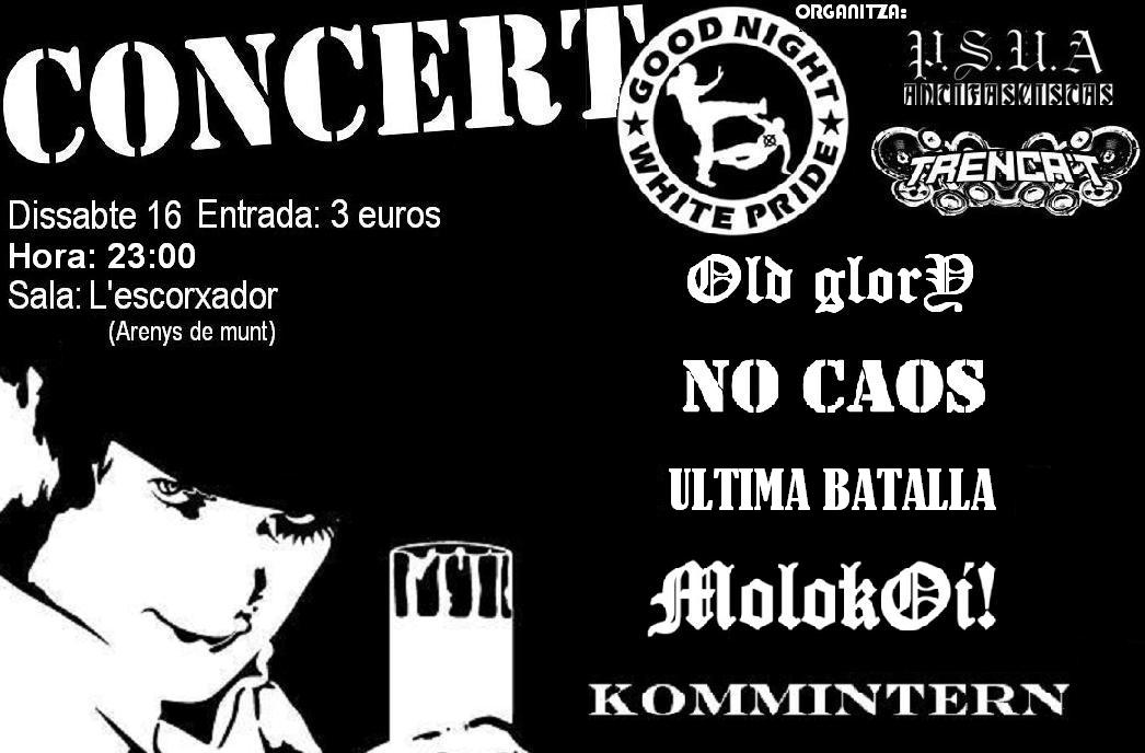 concert psua (cartell)(1).JPG