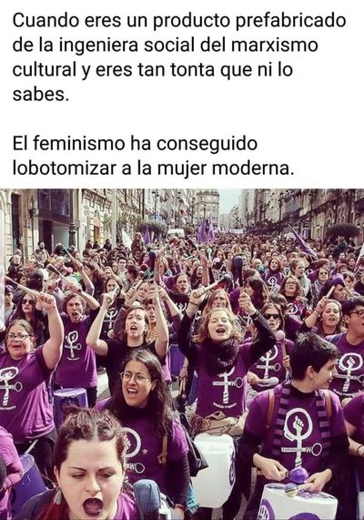 feminismo uniformado..jpg