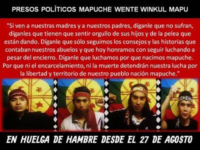 presos-politicos-mapuche-2012.jpg