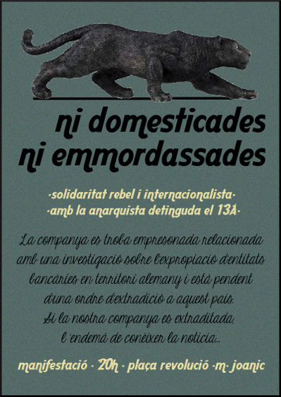 ni domesticades ni emmordasadesA5.jpg