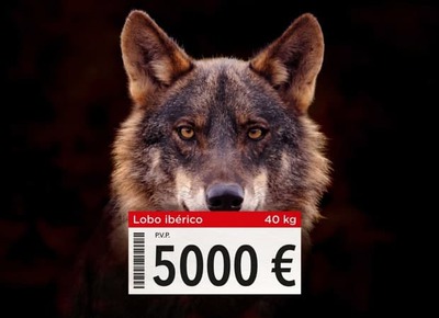 Lobos a la venta. WWF España.jpg