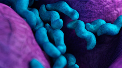 campylobacter-1280x720.jpg