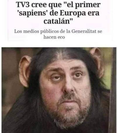 junqueras monito.jpg