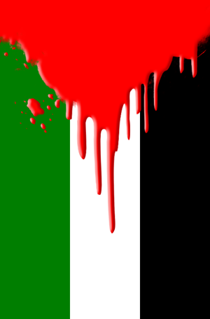 palestine_flag.png