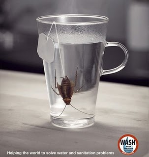 vaso-cucaracha.jpg