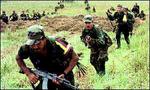 farc300.jpeg
