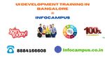 Infocampus @ UI Developer Course in Bangalore.jpg