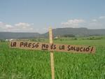 DSC01135.JPG