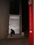 IMGP0031.JPG