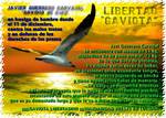 LIBERTAD-GAVIOTAweb.jpg