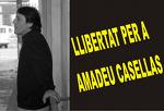 Amadeu.jpeg