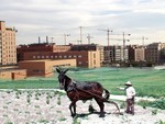 El campo urbanizado. Montaje Yuma.jpg