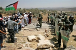bilin.bmp
